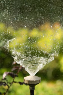 defocused, bulanık su, bokeh doğa damla