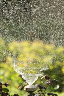 defocused, bulanık su, bokeh doğa damla