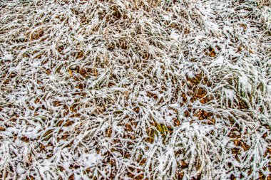 Sonbahar, karda çimen bırakır.