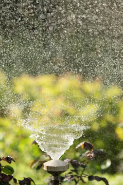 defocused, bulanık su, bokeh doğa damla