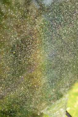 defocused, bulanık su, bokeh doğa damla