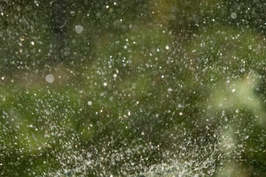 defocused, bulanık su, bokeh doğa damla