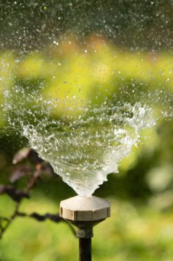 defocused, bulanık su, bokeh doğa damla