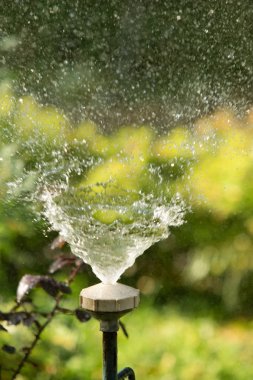 defocused, bulanık su, bokeh doğa damla