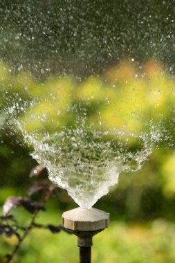 defocused, bulanık su, bokeh doğa damla