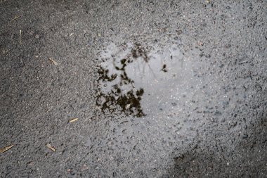 asfalt üzerinde su birikintisi