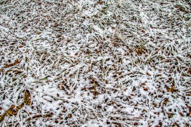 Sonbahar, karda çimen bırakır.