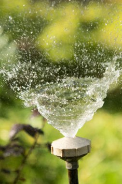 defocused, bulanık su, bokeh doğa damla