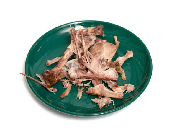 Chicken Bones Eating White Background — Stock Photo, Image