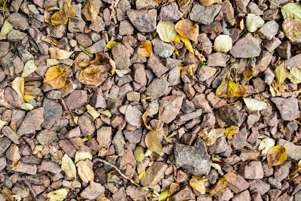 tam kare görünümü yol ezilmiş taş yol