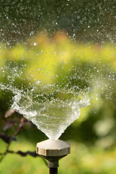 Intreepupil Druppels Spatten Wazig Bokeh Natuur — Stockfoto