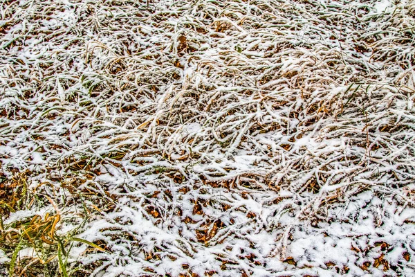 Sonbahar, karda çimen bırakır.