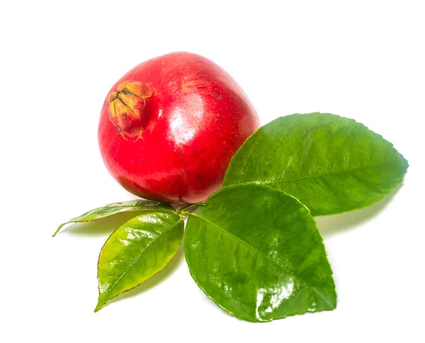 Granada Roja Hojas Verdes Aisladas Sobre Fondo Blanco —  Fotos de Stock