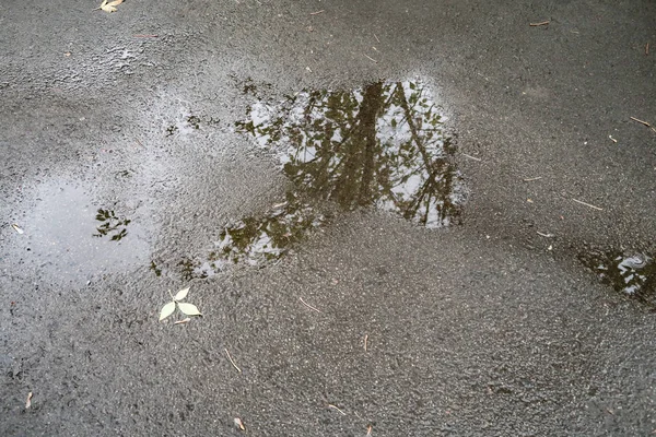 アスファルトの上の水の水たまり — ストック写真