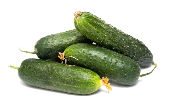 Fresh Green Cucumber White Background — Stock Photo, Image