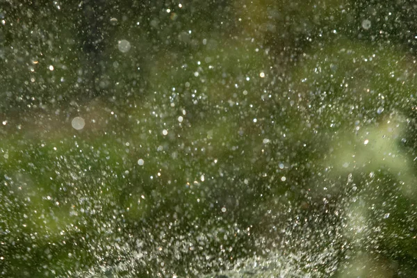 defocused, bulanık su, bokeh doğa damla