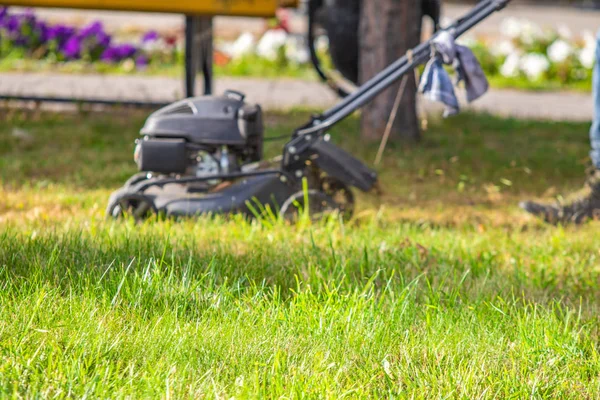 Mowing Green Grass Lawn — Stock Photo, Image