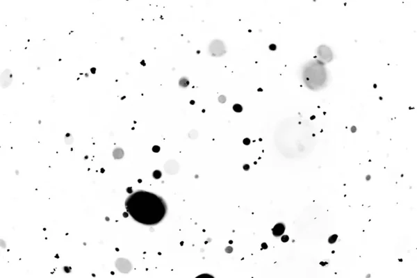 Schwarzes Bokeh Auf Weißem Hintergrund Verschwommen — Stockfoto