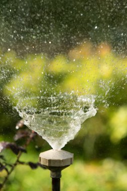 defocused, bulanık su, bokeh doğa damla