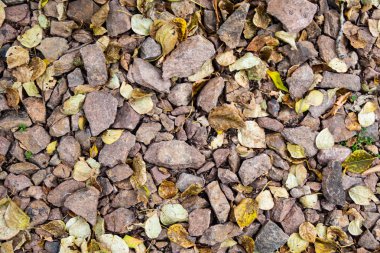 tam kare görünümü yol ezilmiş taş yol