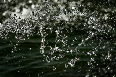 bir karanlık bokeh arka plan üstünde su damlaları