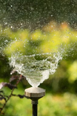 defocused, bulanık su, bokeh doğa damla