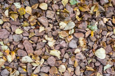 tam kare görünümü yol ezilmiş taş yol