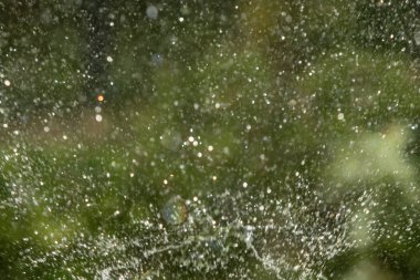 defocused, bulanık su, bokeh doğa damla