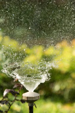 defocused, bulanık su, bokeh doğa damla