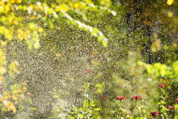 Desfocado Salpicando Água Gotas Borradas Bokeh Natureza — Fotografia de Stock