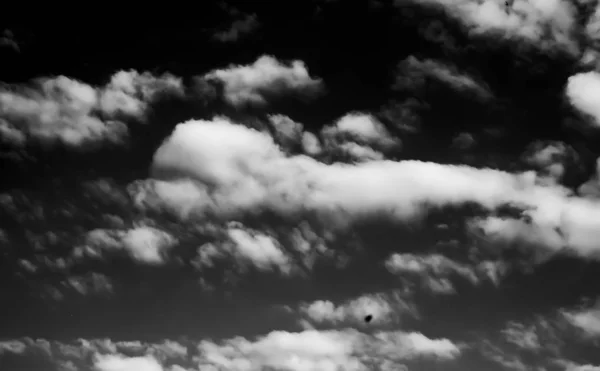Nori Albi Cer Întunecat Monocrom — Fotografie, imagine de stoc