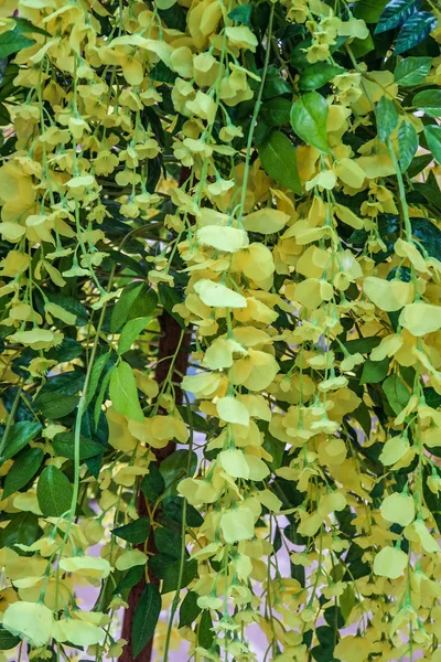 Groene Kunstplanten Bloemen — Stockfoto