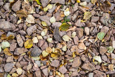 tam kare görünümü yol ezilmiş taş yol
