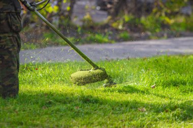 yeşil çim çim biçme