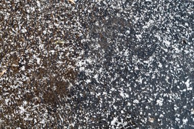 asfalt üzerinde yakın çekim buz