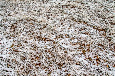 Sonbahar, karda çimen bırakır.