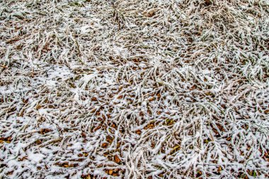 Sonbahar, karda çimen bırakır.