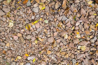 tam kare görünümü yol ezilmiş taş yol