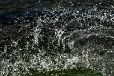 bir karanlık bokeh arka plan üstünde su damlaları