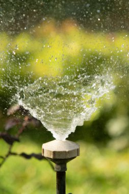 defocused, bulanık su, bokeh doğa damla