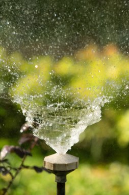 defocused, bulanık su, bokeh doğa damla