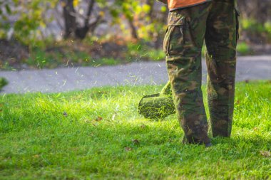 yeşil çim çim biçme