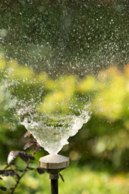 defocused, bulanık su, bokeh doğa damla