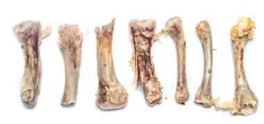 tavuk kemikleri yiyecek yığını