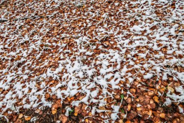 Sonbahar, karda çimen bırakır.