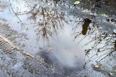 asfalt üzerinde su birikintisi