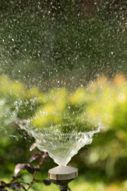 defocused, bulanık su, bokeh doğa damla