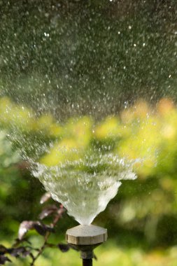 defocused, bulanık su, bokeh doğa damla