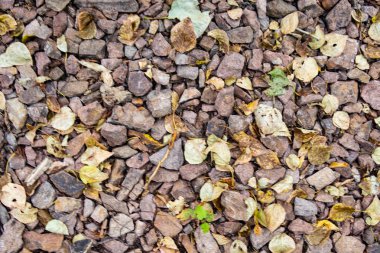 tam kare görünümü yol ezilmiş taş yol