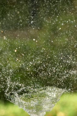 defocused, bulanık su, bokeh doğa damla